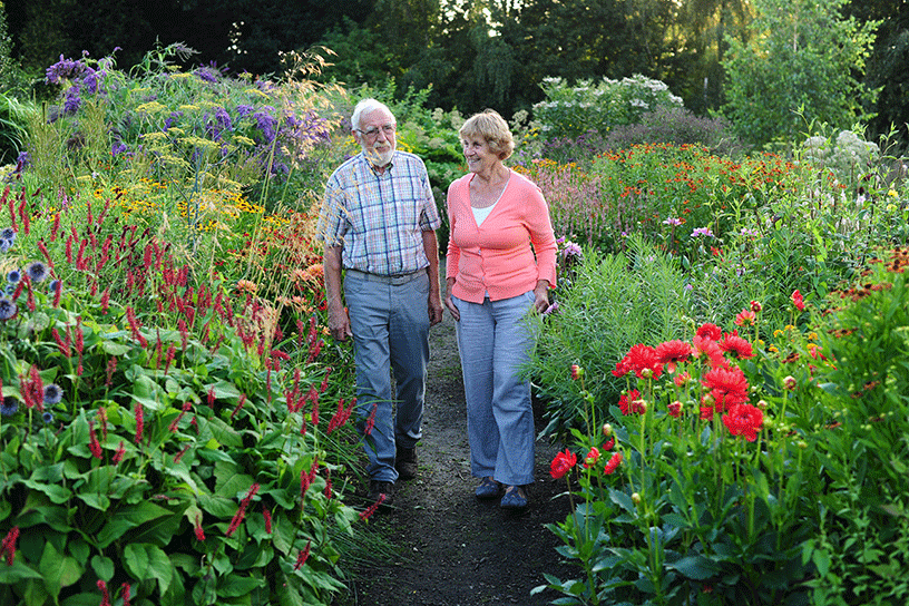 Theo en Nel Verheggen in hun tuin met dahlia's.